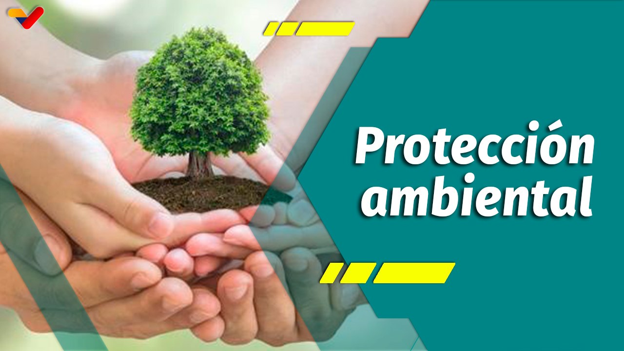 Punto Verde | Iglesia católica pone en marcha acciones que contribuyen con la defensa ambiental