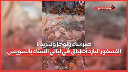 صرمباء ولوجز وسريديا.. الفسفور البارد أطباق في ليالي الشتاء بالسويس