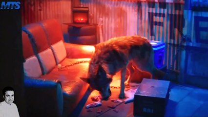 10 SHOCKING POST CREDIT SCENES OF ALL TIMES HIT HINDI MOVIES | MTS STUDIO