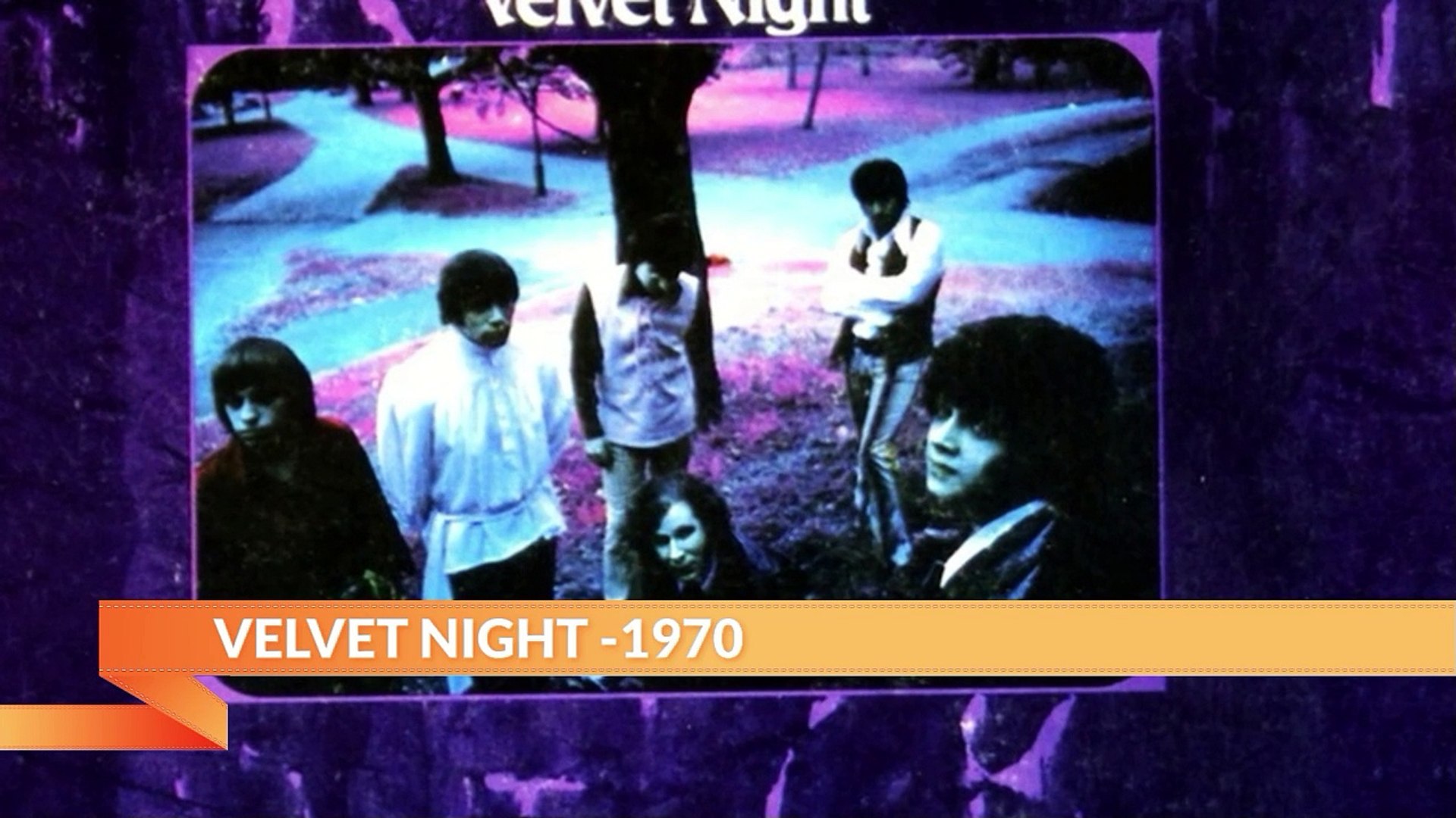 ⁣VELVET NIGHT