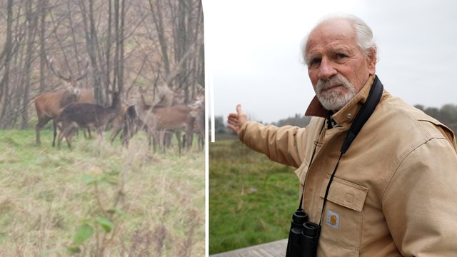 Le coup de gueule de Yann Arthus-Bertrand après l'intrusion de chiens de chasse chez lui