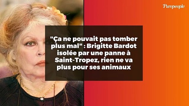 Ça ne pouvait pas tomber plus mal : Brigitte Bardot isolée par une panne à Saint-Tropez, rien ne va plus pour ses animaux