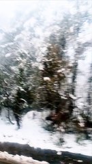 Extreme Snow Fall