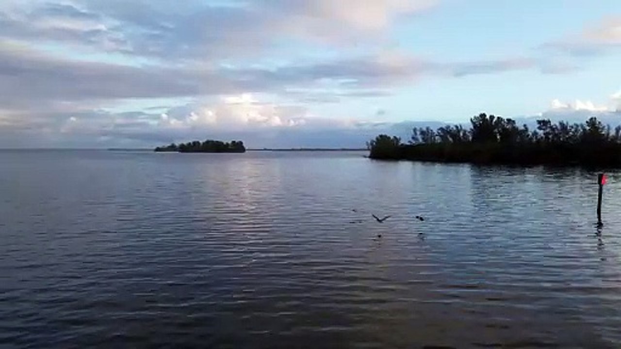 Good Morning Sunshine |RK_MEDIA |HD VIDEOS