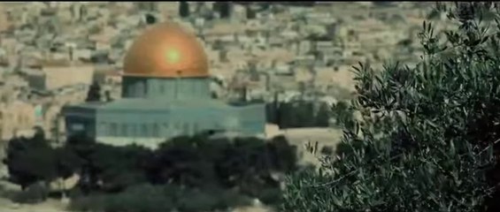 الشاشه لك - كوب الـدم