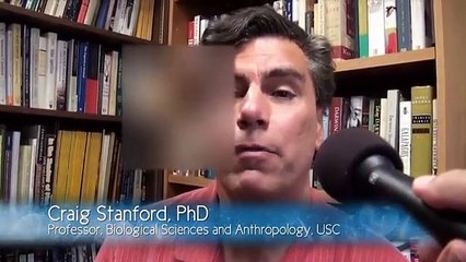 Evolution vs. God: A Faith-Based Debate