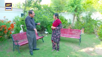 Bulbulay Season 2 Episode 281   14 Dec 2024   Comedy   ARY Digital