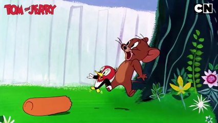 Tom & Jerry’s Fun Fest! 🤩   #tomandjerry   Funny Cartoon video 😆   Compilation   Non Stop   @cnindia