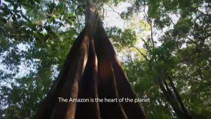 Expedition Amazon | show | 2024 | Official Trailer