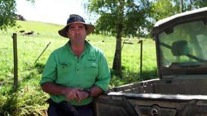 Calls for regulations of quad bikes rise following deaths in Australia