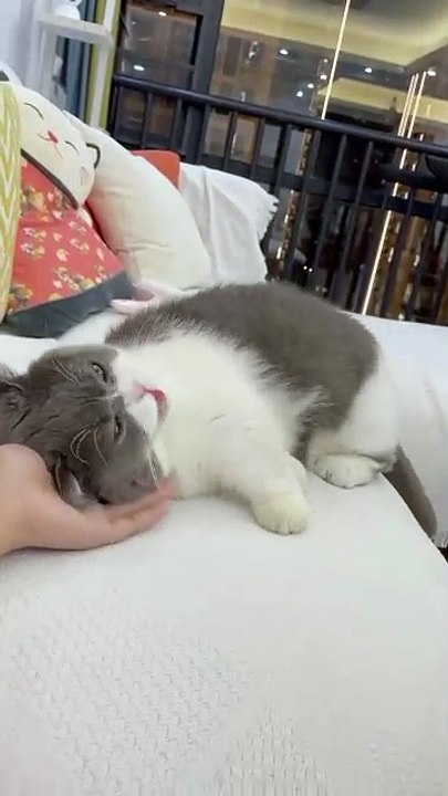 Sunday = Lazyday
