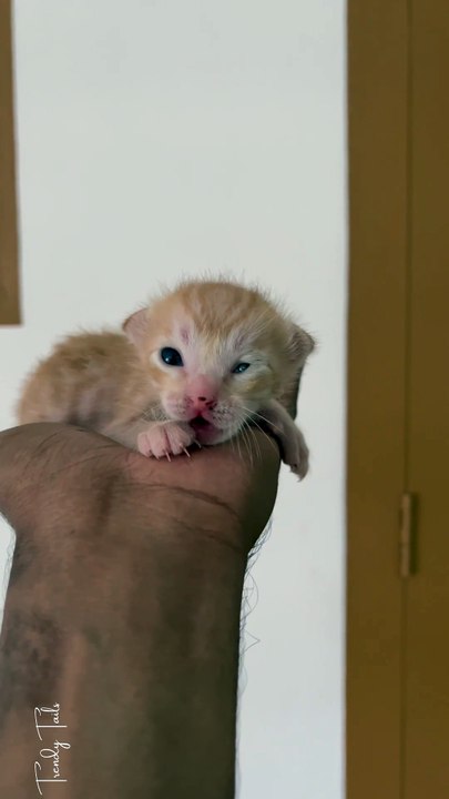 A few days old vs a few months old