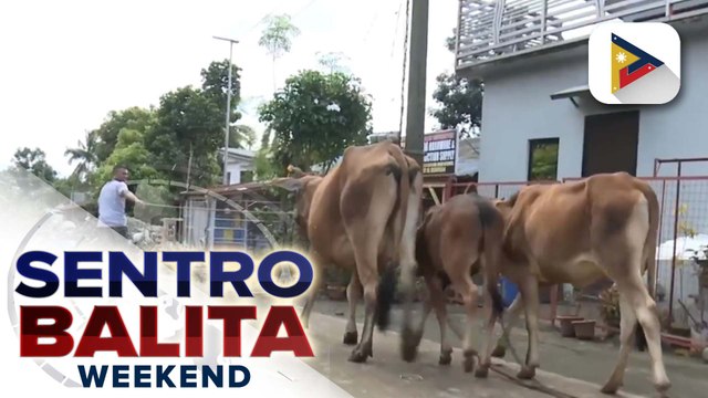 Mandatory evacuation at border control, patuloy na ipinatutupad sa mga apektado ng pagputok ng Bulkang #Kanlaon