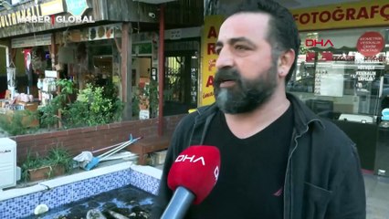 İzmirli fotoğrafçının bitmek bilmeyen kaplumbağa sevgisi: Sayıyı duyan gözlerine inanamıyor