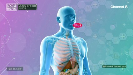 간 유산균이요?! 쉽고 빠르게 우리의 간 건강을 챙길 수 있는 방법, 간 유산균의 모든것