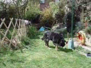 Nilam ma boubou adoptée à 10 ans