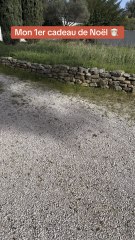 Mon 1er cadeau de noël
