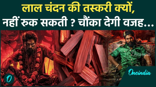 Allu Arjun: Pushpa 2 के लाल चंदन की कहानी असली है या नकली, रुक नहीं सकती तस्करी | वनइंडिया हिन्दी