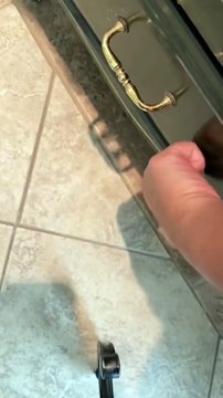 Hilarious Cat Fails & Epic Reactions – You Won't Stop Laughing!