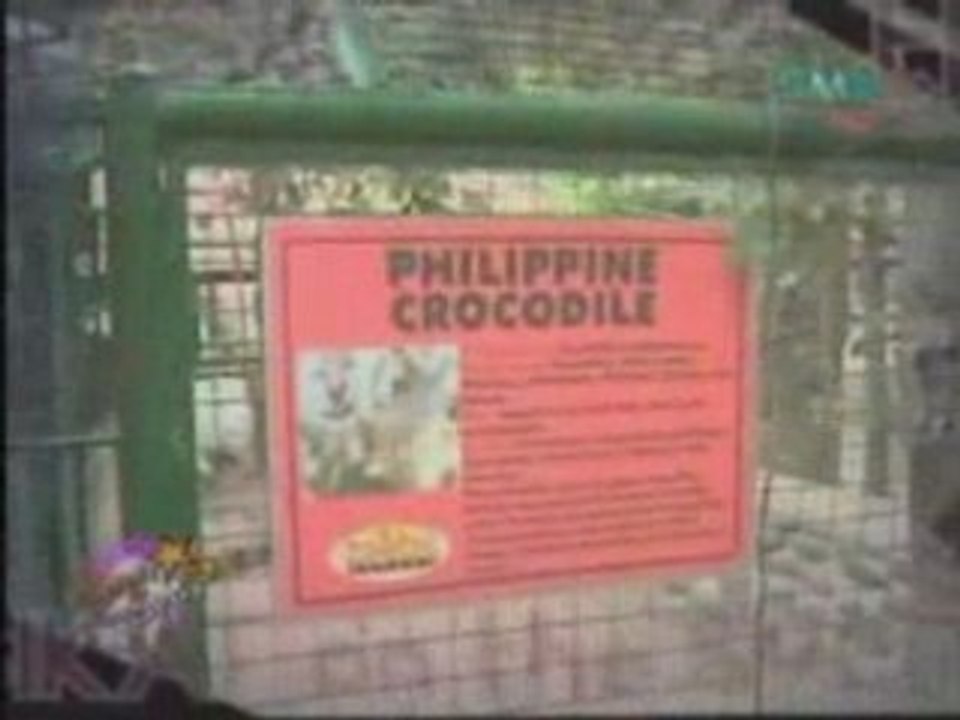 Sheena Halili - Pinoy Records