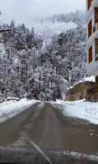 Unleash Adventure with 4x4 SUVs.