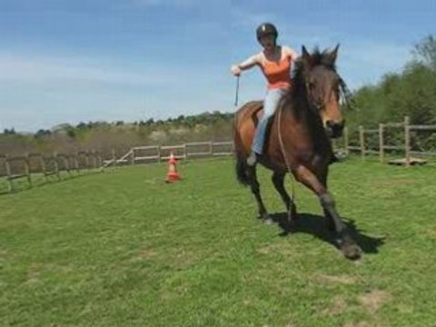 Vicky trot espagnol à pied et monté