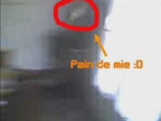 Nico, lanceur de Pain de Mie