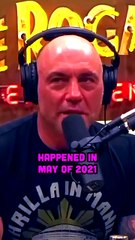 David Chapelle on the Joe Rogan Experience