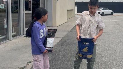 Touching scene as autistic boy succeeds in opening a Tesla door with his sister's guidance