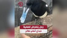 رجل يتعرض لعملية خداع أمام طائر