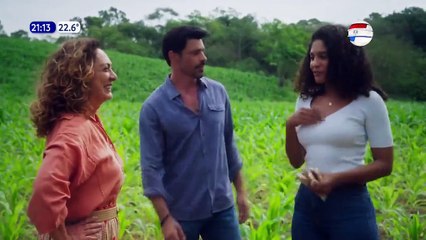 86. Tierra de Deseos (Terra e Paixao), en español