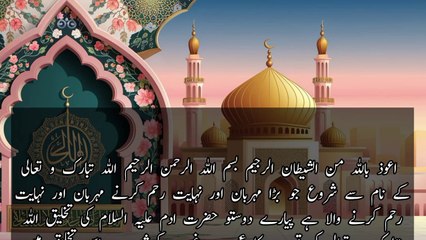 "Non-Stop Laughter Guaranteed | Best Urdu Jokes of the Day!"