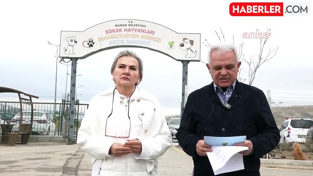 Mamak'taki Sokak Hayvanları Bakımevi Olayıyla İlgili Açıklama