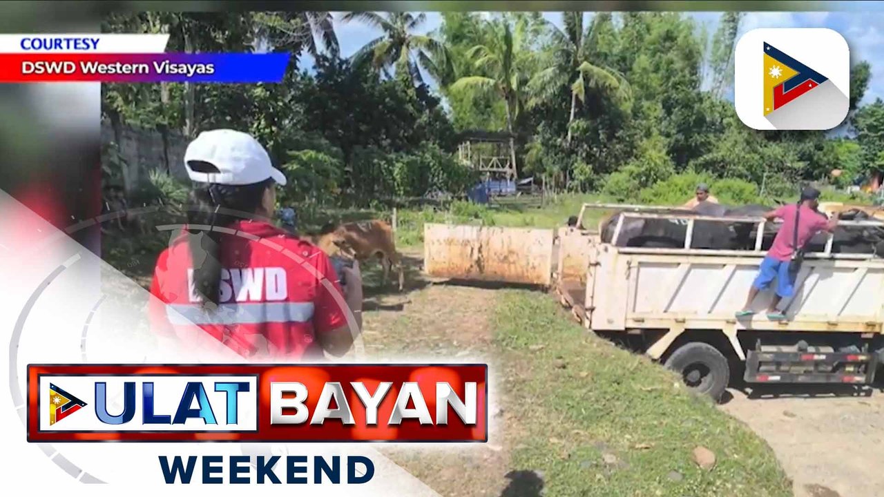 DSWD, nagtalaga ng evacuation site para sa mga alagang hayop na inilikas dahil sa pagputok ng Bulkang Kanlaon