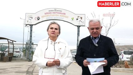 Mamak'taki Sokak Hayvanları Bakımevi Olayıyla İlgili Açıklama