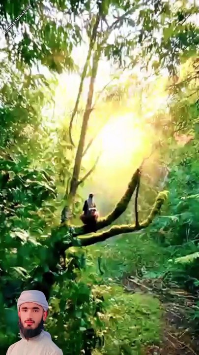 surah WAQIAH 1 create #shorts #viralvideo #shortsvideo #shortfeed #NatureInspiredByQuran #bird #Shorts #Trending #Viral #ForYou #FYP #ComedyShorts #DailyDose #LifeHacks #FashionShorts #FoodShorts#NatureInQuran #QuranicNature #DivineCreation #NatureInspire