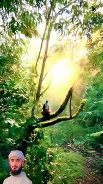 surah WAQIAH 1 create #shorts #viralvideo #shortsvideo #shortfeed #NatureInspiredByQuran #bird #Shorts #Trending #Viral #ForYou #FYP #ComedyShorts #DailyDose #LifeHacks #FashionShorts #FoodShorts#NatureInQuran #QuranicNature #DivineCreation #NatureInspire