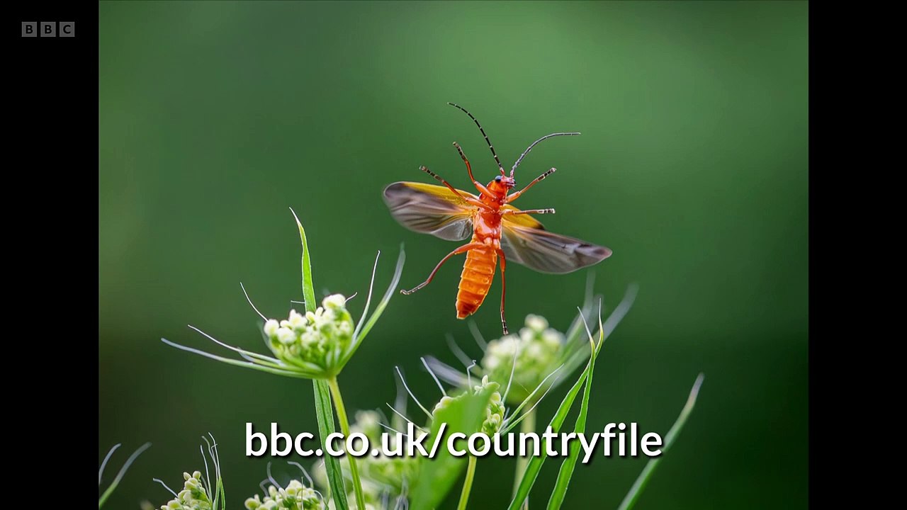 Countryfile - Peak District