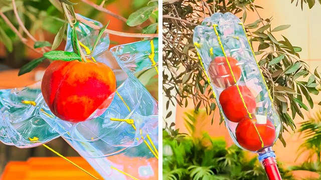 Harvestful Autumn: Planting Tips and Plastic Bottle Craft Ideas. Gardening Hacks