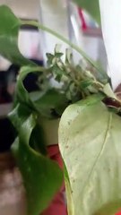 encontrados durmiendo