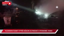 Bodrum'da yıldırımın isabet ettiği ağacın altındaki 2 otomobil yandı