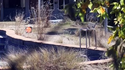 'Lifeblood' of communities drying up as pool costs drain council funds