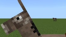 Donkey