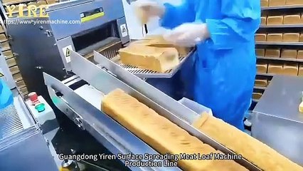 双通道表面撒肉松机-全英Double channel surface meat floss machine.