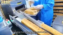 双通道表面撒肉松机-全英Double channel surface meat floss machine.