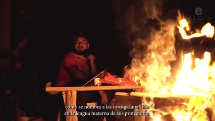 El oficio de salvar tortugas