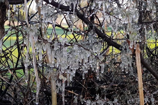 Rajasthan Weather : गुलाबी नगर में गलनभरी सर्दी, तेज ठंड से धूज रहे लोग