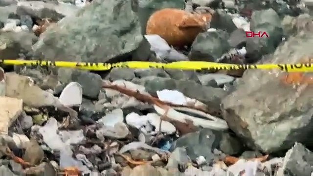 Sahilde bomba paniği: Patlamamış halde ''su altı bombası'' bulundu