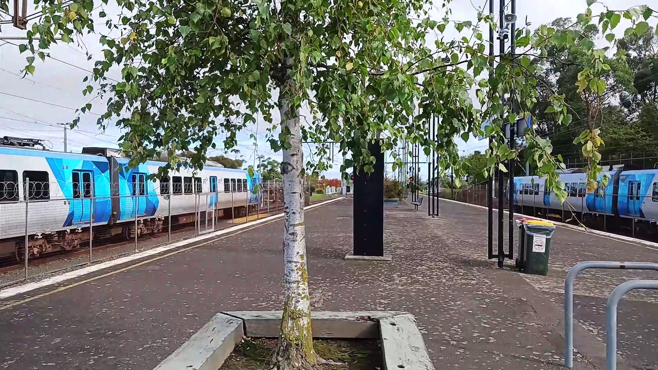 20230417 Uper Ferntree Gully (1)