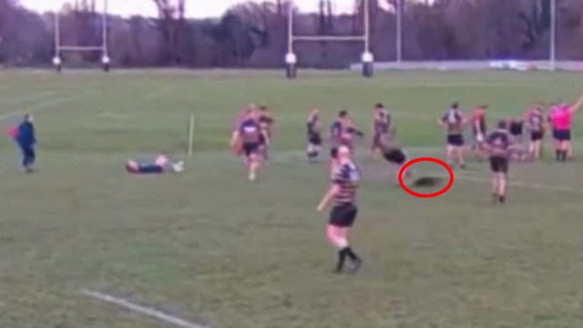 Video shows the moment a deer invaded a rugby pitch - and tackled a player